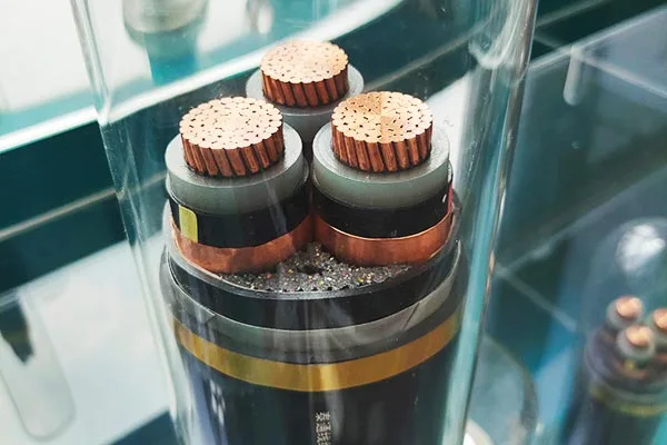 การสนับสนุนบริการที่ครอบคลุม